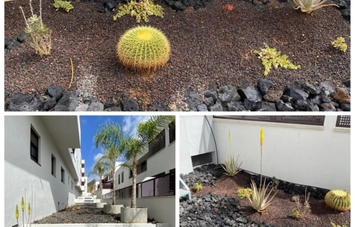 Mantenimiento y Limpieza de Comunidades
